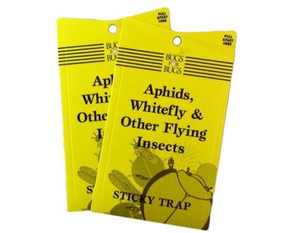 Bugs for Bugs Sticky Trap Broad mites - Two spotted mites - Russet mites - Cyclamen mites - Whiteflies - Aphids - Thrips - Gnats - Leafminer Hydroponics Hydroshop