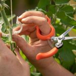 Chikamasa Scissors TP-530S