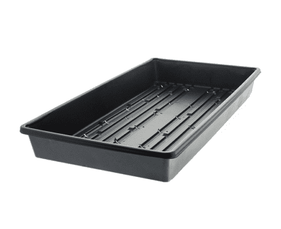 Clone Tray Solid