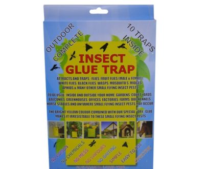 Insect Glue Trap - 10 Sticky Traps Insect Pesticide