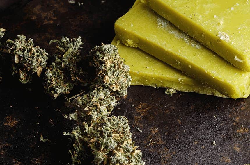 Magical-Butter-to-Make-Cannabis-Butter-and-CBD-Oil-Extract
