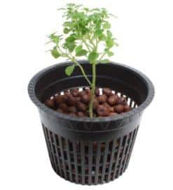 Pot Mesh for Hydroponics