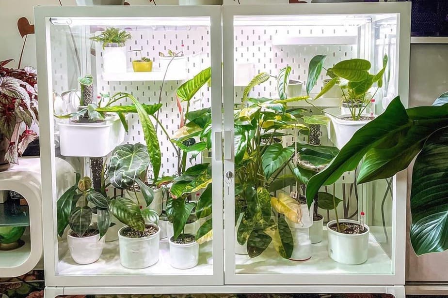 ikea-cabinet-greenhouse